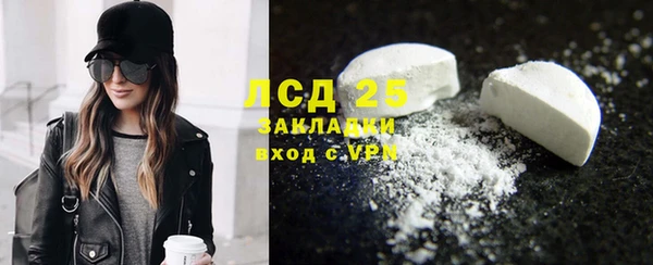 прущие грибы Касимов