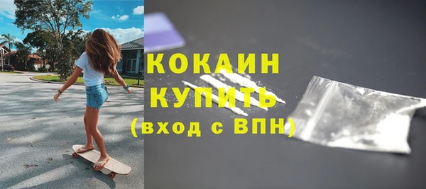 прущие грибы Касимов