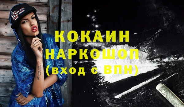 прущие грибы Касимов