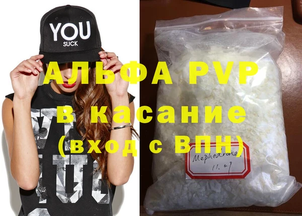 прущие грибы Касимов