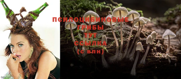 прущие грибы Касимов
