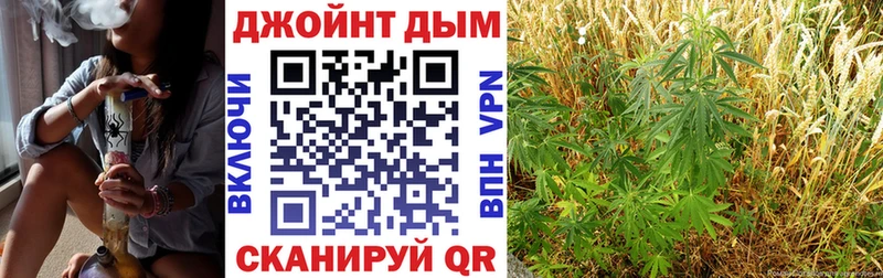 Шишки марихуана планчик  Купить  Кувандык 